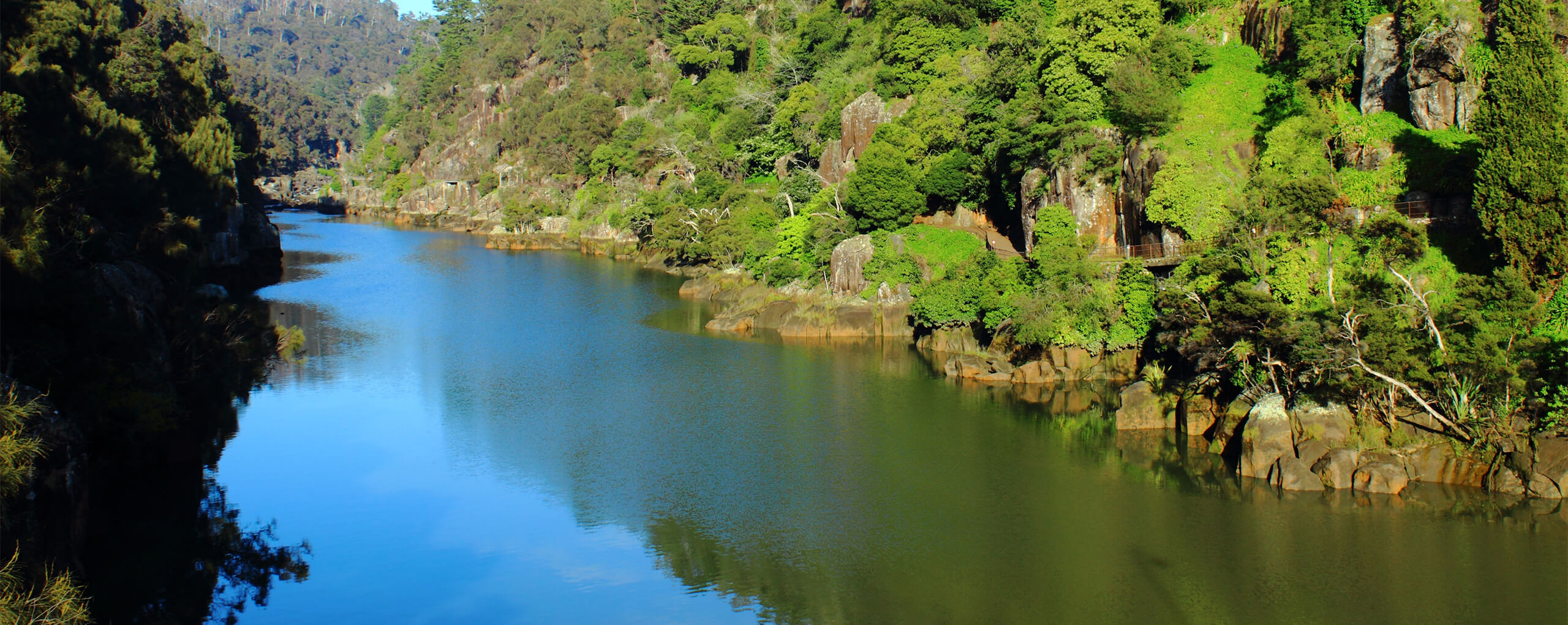 cataract gorge cruises services